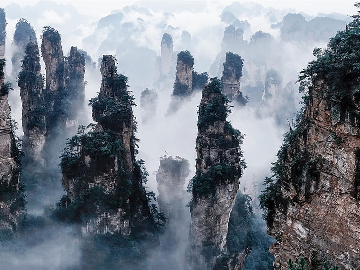 Taman Hutan Zhangjiajie