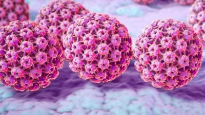 Virus HPV Bisa Jadi Penyebab Kanker Dini