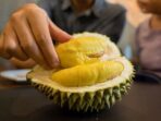 Waspada! 7 Makanan yang Tak Boleh Dimakan Bersama Durian