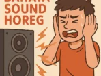 Bahaya Sound Horeg ini mengangu maupun merusak pendengaran orang, pelajari dan pahami informasi yang kami berikan agar tidak merugikan masyarakat!