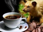 Fantastis! Kopi Luak Indonesia termasuk harga minuman termahal, Kami juga akan memberikan informasi tentang makanan termahal juga di dunia.