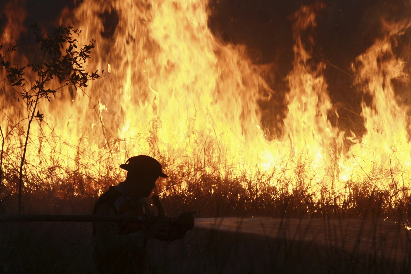 Kebakaran Hutan Riau Meluas, 510 Ha Lebih Lahan Terbakar