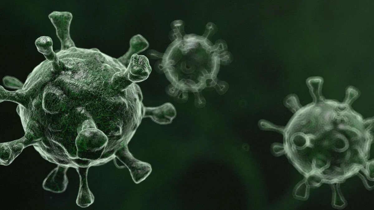 Super Flu: Kasus Influenza A Subclade K